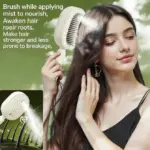 Electric Spray Air Cushion Massage Comb | 5-in-1 Detangling Hair Brush - Image 2