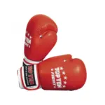 Original TOP TEN Boxing Gloves 10oz — Best Price in BD | Shetura