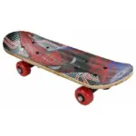 17 Inch Skate Board for Kids & Adults | Strong & Stylish Skateboard - Image 4
