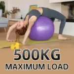 75cm Gym Ball with Pump Price in Bangladesh – Yoga & Exercise Ball - Image 3